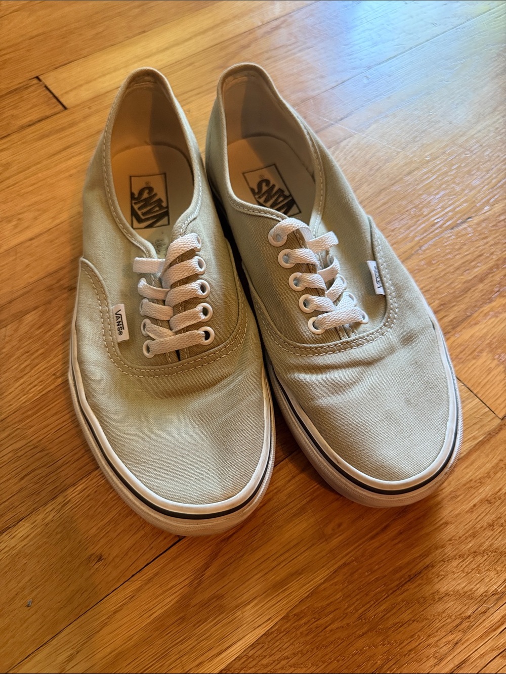 Vans Classic Canvas Sneakers in Sage Green and White
